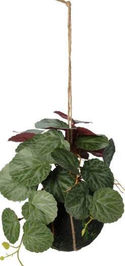 Koopman Fleurs Artificielles<Plante à suspendre 30cm BOTANIC