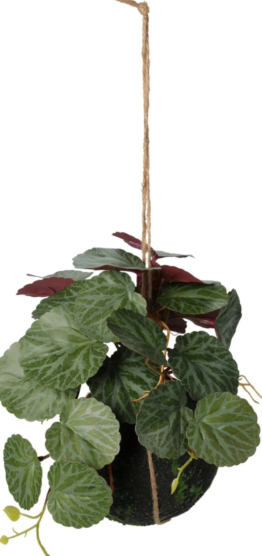 Koopman Fleurs Artificielles<Plante à suspendre 30cm BOTANIC