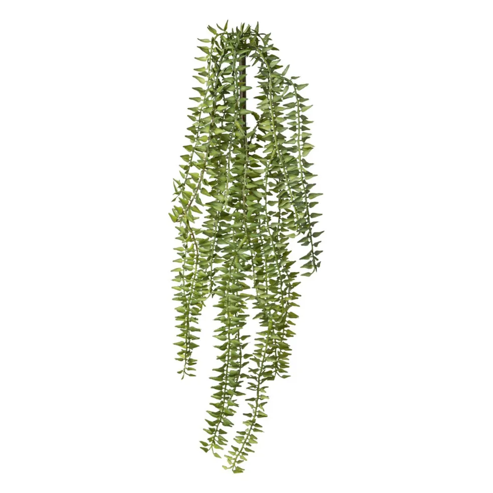 Plante artificielle COLUMNEA