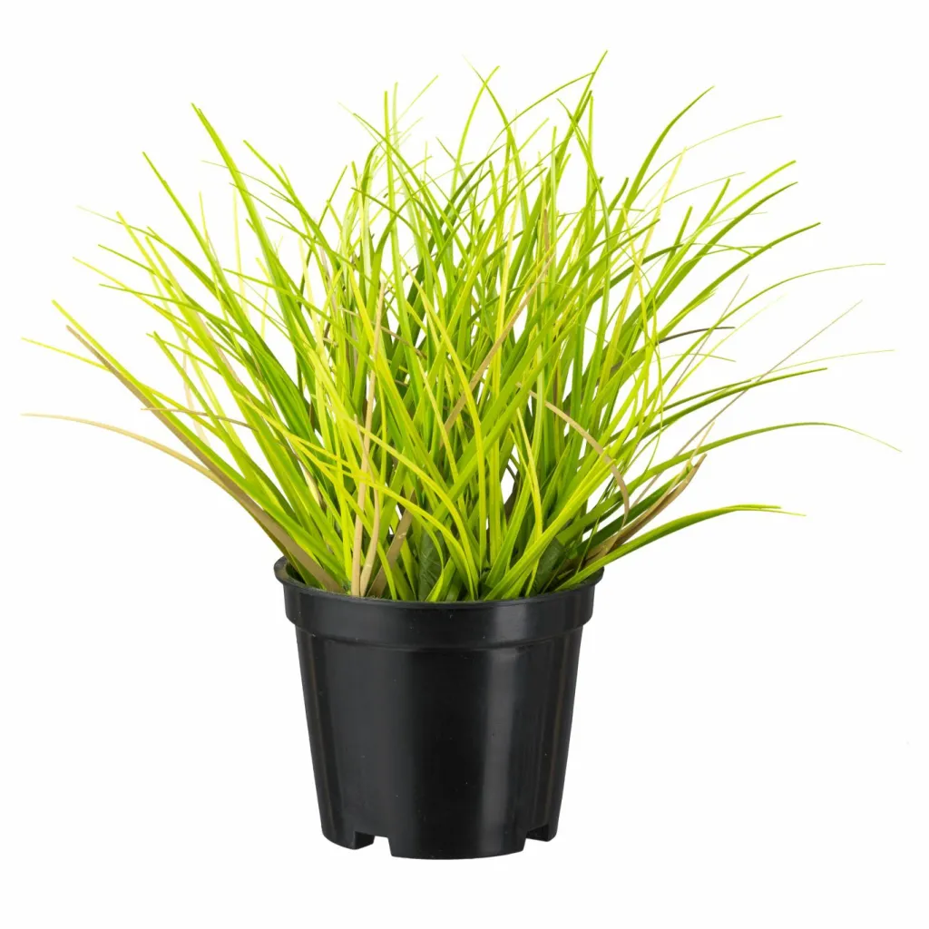 Gasper Fleurs Artificielles<Pot d'herbes décoratives GRAS