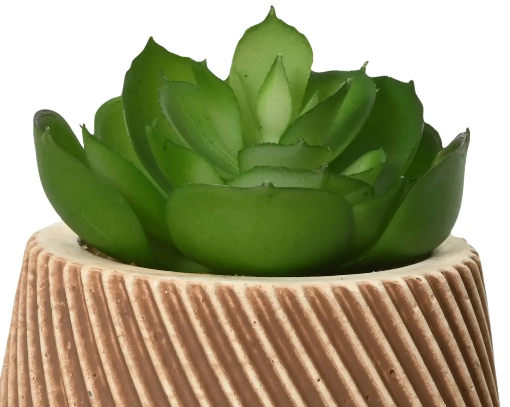 Kaemingk Fleurs Artificielles<Succulente en pot DEKO