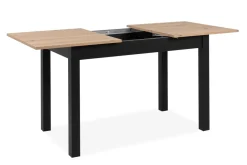 Table extensible COBURG 120