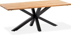 Niehoff Meubles De Jardin|Tables De Jardin<Table 220x95cm ALTO