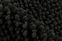 Tapis de bain FLUFFY