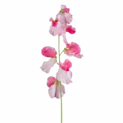 Vesce FLOWERS